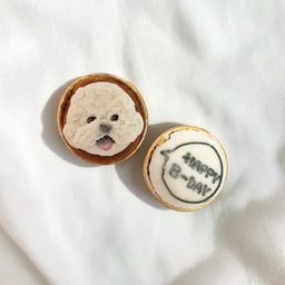 《無添加》もふもふスマイルカップ