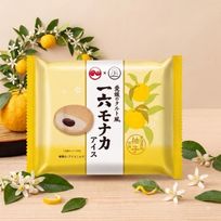 アイスクリーム  愛媛 の タルト風  一六モナカ アイス 6個セット一六本舗 コラボ もなかアイス 新宿Kojimaya お中元 2026 アイス2026