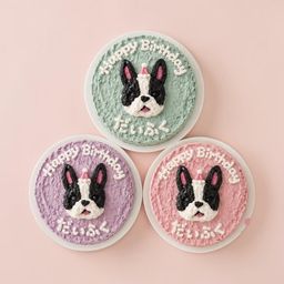 《無添加》    お耳ぴょこん♡フレブルのバースデーケーキ4号