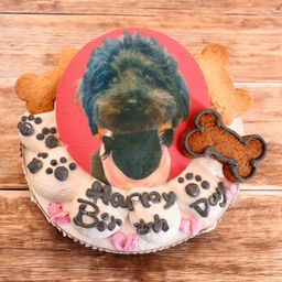 安心無添加！愛犬の証明写真でハッピーバーズデーケーキ-4号