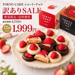 【数量限定＆送料無料】TOKYO CAKEショート＆チョコ12個 特別価格！