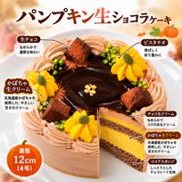 NEW パンプキン生ショコラ 3号｜室温で半解凍、外はふんわり、中はひんやりとした新食感 かぼちゃ×濃厚チョコレートケーキ 