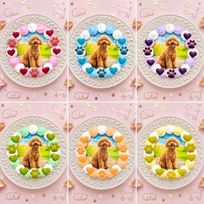 選べる6色のカラフルクリーム！わんこ・にゃんこフォトケーキ 3号 9cm