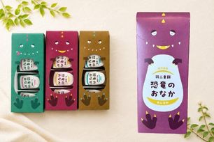 福井銘菓 羽二重餅 恐竜のおなか【あん包み】 1箱8個入（パッケージ赤）