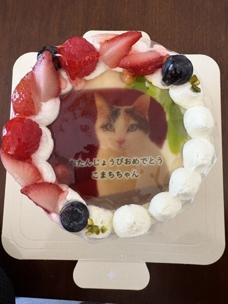 サムネイル