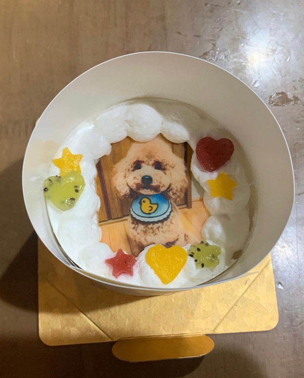 わんちゃん用EWP対応 室内犬用 ワンワン写真ケーキ 3号 9cmの口コミ・評判の投稿画像