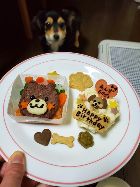 犬用》わんこ尽くし！フルギフトセット☆選べるケーキ＆クッキー＆ごちそうギフト（わんこケーキgioia）
